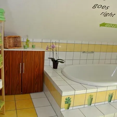 Appartamento Voelkel Mit Dachterrasse Treviri